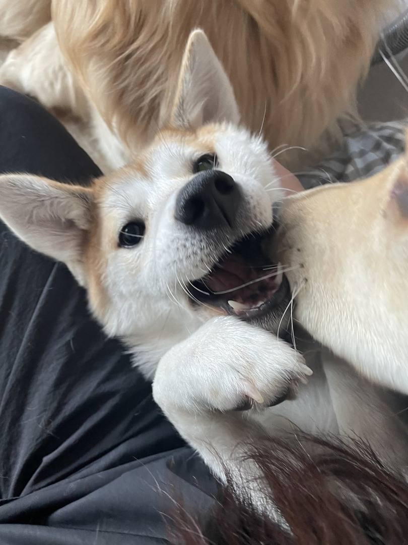 강이