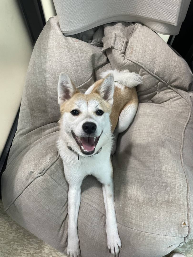 강이