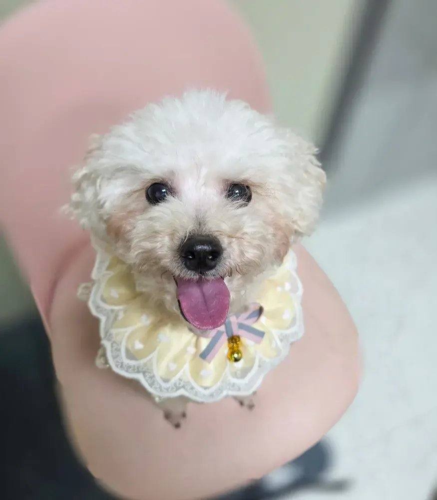 은비