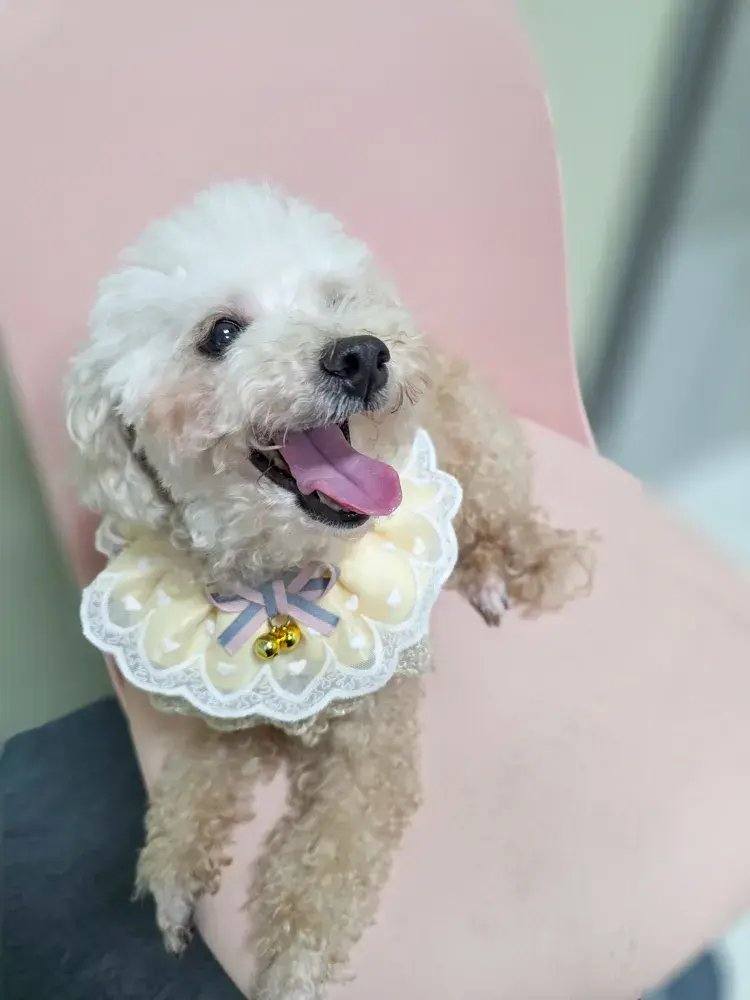 은비