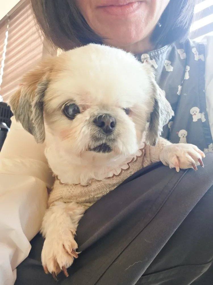 달콤