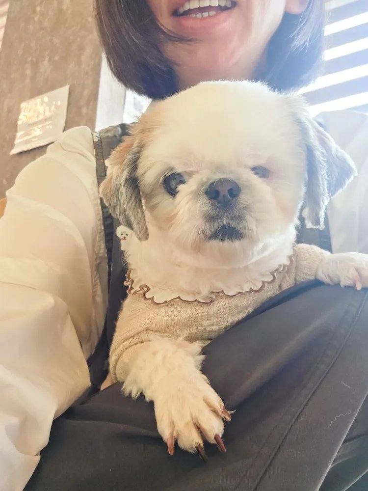 달콤