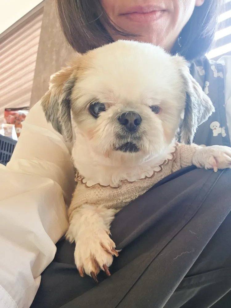 달콤