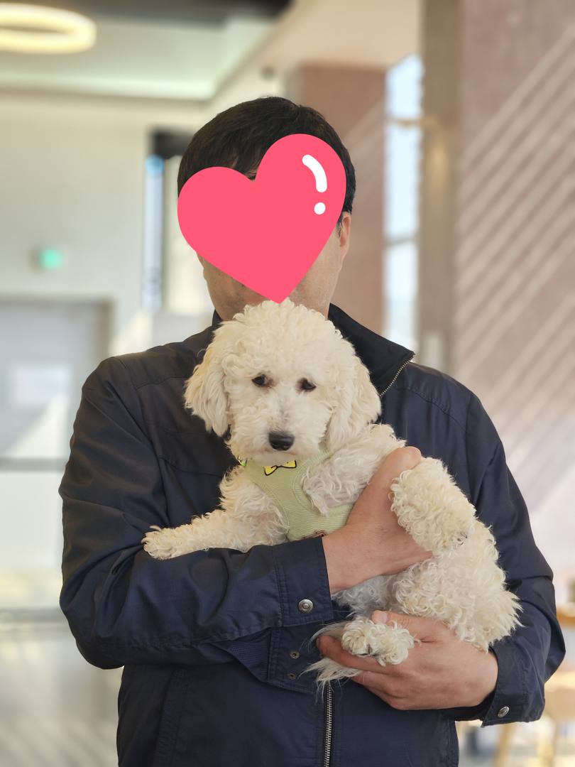 슬기
