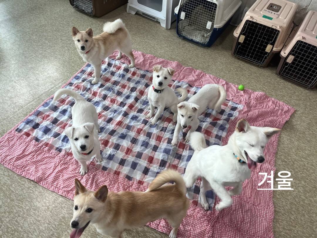 겨울