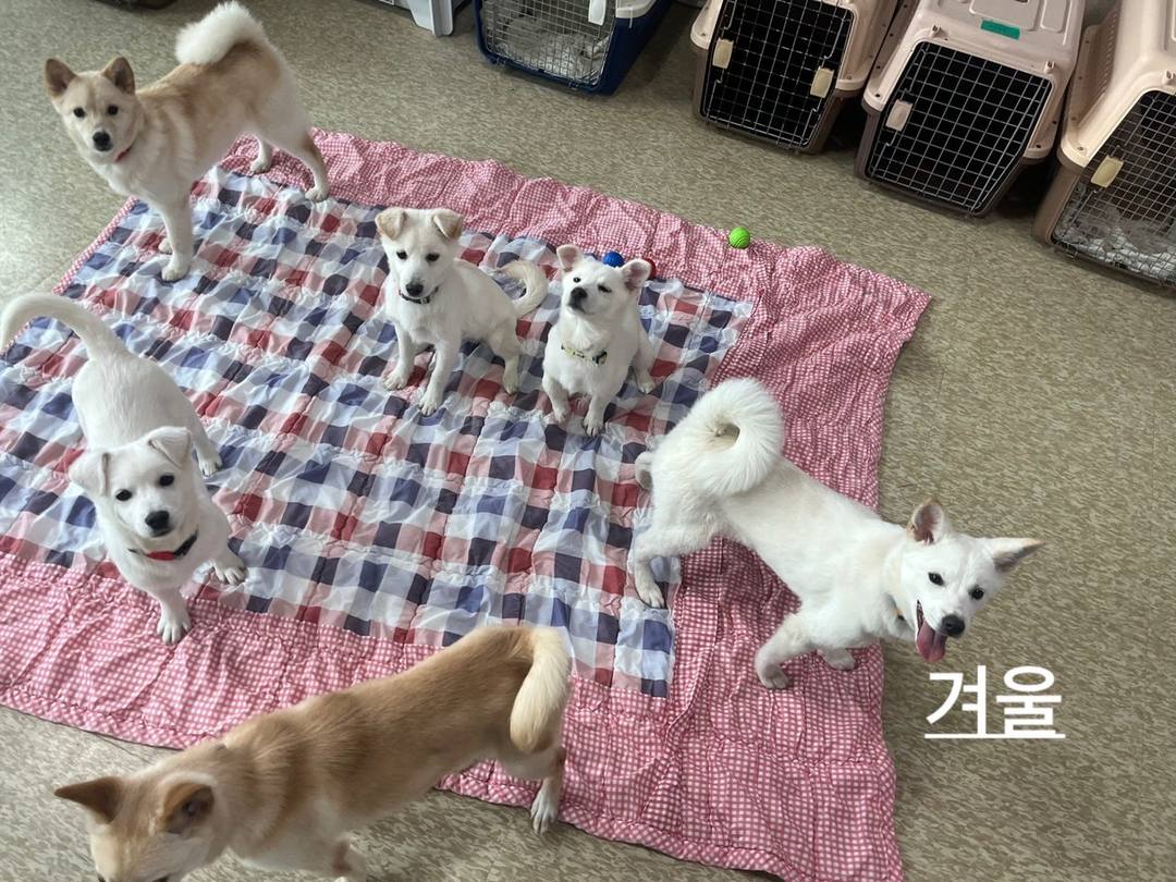 겨울