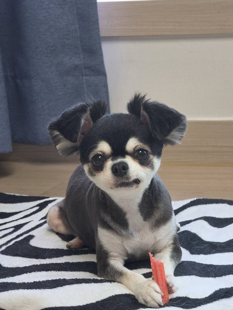 후추