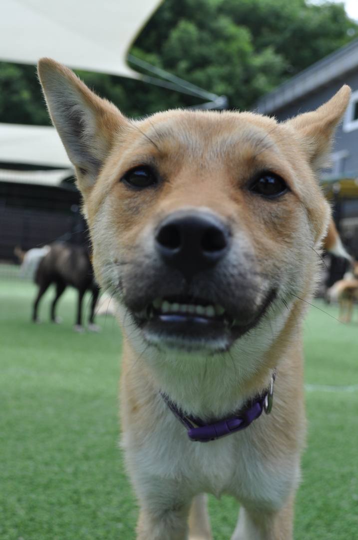 3.가보