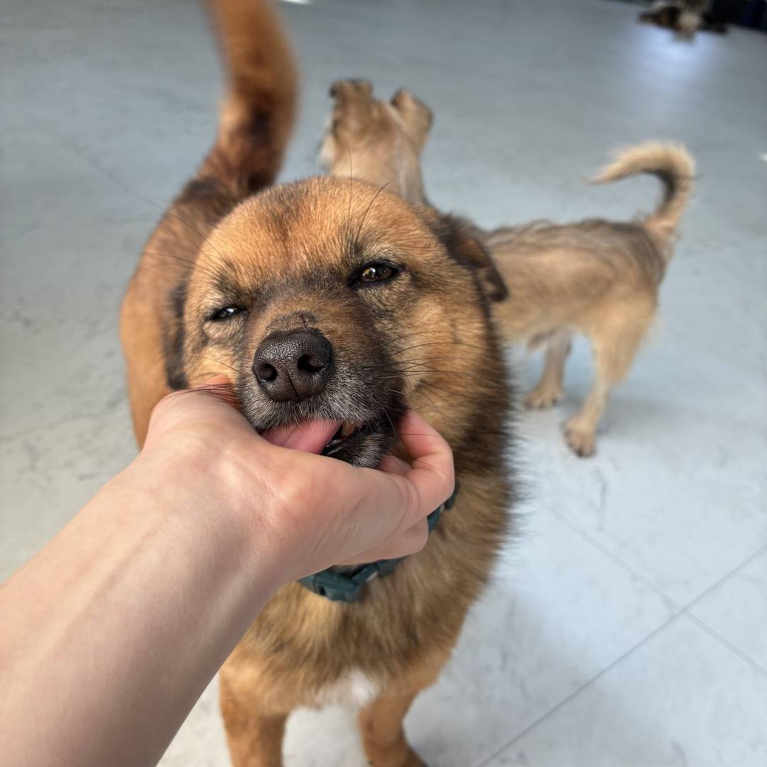 와라
