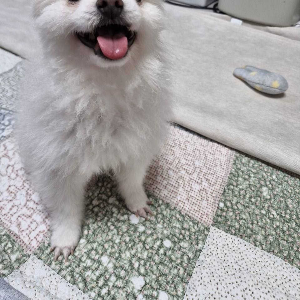왕자